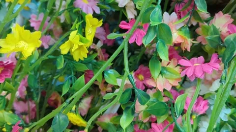 Slow Motion Close-up of Vibrant Artificial Pink and Yellow Flowers Stock Footage 328824121