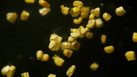 Slow motion close-up video of corn falling into water. Stock Footage 263027419