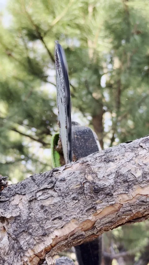Slow-motion close-up view of chain saw cutting tree branches 库存影片 325524677