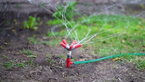 Slow motion, close view of a sprinkler watering a vegetable patch in the Video stock 211816543