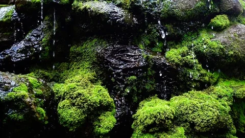 Slow motion close up of waterfall splash, spring water as it falls and dribbles Stock Footage 74115532