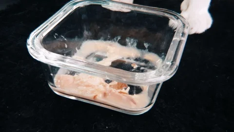 Slow motion close up of White Siamese cat eating wet cat food in a glass bowl Stock-Footage 100638570