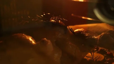 Slow motion close-up whole chicken roast cooking in oven Vídeos de archivo 82083249