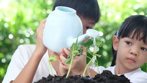 Slow motion close up young Asian girl watering to young seedling plant Stock Footage 125989874