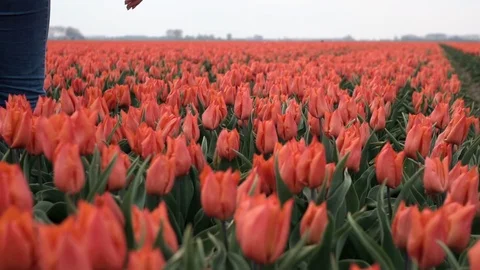 Slow motion close up of Young caucasian teenage girl legs walking in beautiful Stock Footage 111069257