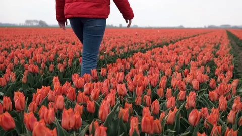 Slow motion close up of Young caucasian teenage girl legs walking in beautiful Stock Footage 111069319