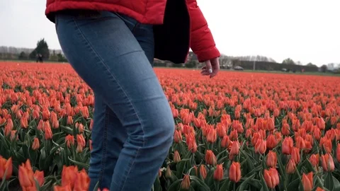 Slow motion close up of Young caucasian teenage girl legs walking in beautiful Stock Footage 111069392
