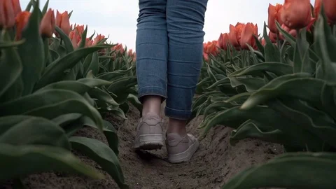 Slow motion close up of Young caucasian teenage girl legs walking in beautiful Stock Footage 111069401