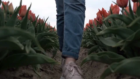 Slow motion close up of Young caucasian teenage girl legs walking in beautiful Stock Footage 111069475