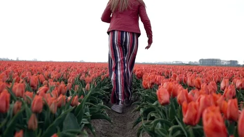 Slow motion close up of Young caucasian teenage girl legs walking in beautiful Stock Footage 112652188