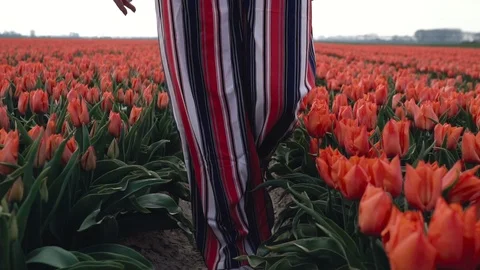 Slow motion close up of Young caucasian teenage girl legs walking in beautiful Stock Footage 112652645