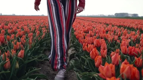 Slow motion close up of Young caucasian teenage girl legs walking in beautiful Stock Footage 112652747