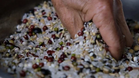 Slow motion: Closeup of beans and rice fall from a senior Chinese woman's hands Stock Footage 126615210
