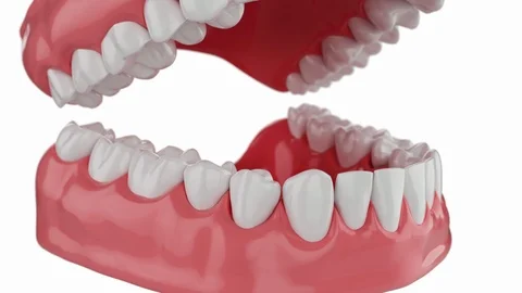 Slow motion Closeup Beautiful Clean Teeth 3D Animation with alpha mate. 4K Stock Footage 122551045