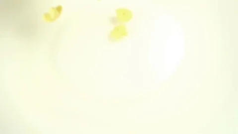 Slow motion closeup corn flakes Stock Footage 85267056