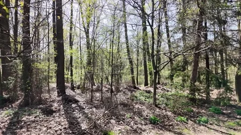 Slow motion closeup of Dacia Duster SUV car steering wheel and dashboard Stock Footage 311998472