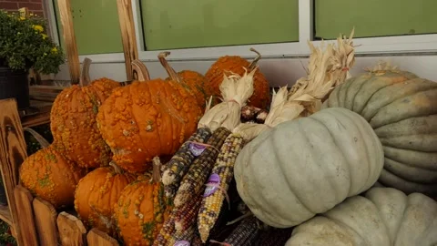 Slow-motion closeup flyover of pumpkin varieties on display outside market store Vídeo Stock 140554619