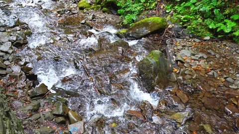 Slow motion closeup footage of streaming mountain river Stock Footage 119961922