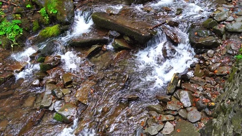 Slow motion closeup footage of streaming mountain river Stock Footage 119961948