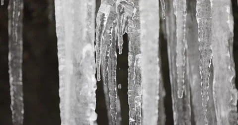 Slow motion of closeup of icicles melting dripping water Stock Footage 148442134