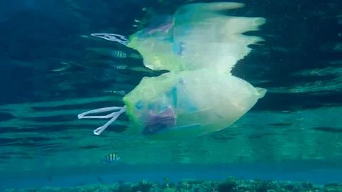Slow motion, Closeup of plastic bag filled with plastic and other debris drifts Stock Footage 143848846