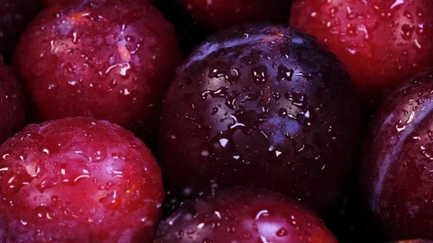 Slow motion closeup shot with drops of water falling on ripe organic red plum Vídeos de archivo 90418053