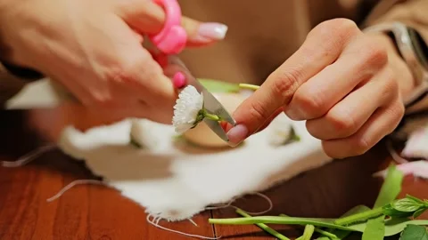 Slow Motion Closeup Shows Flower Head Cut For Traditional Easter Egg Decorating Stock Footage 344007555