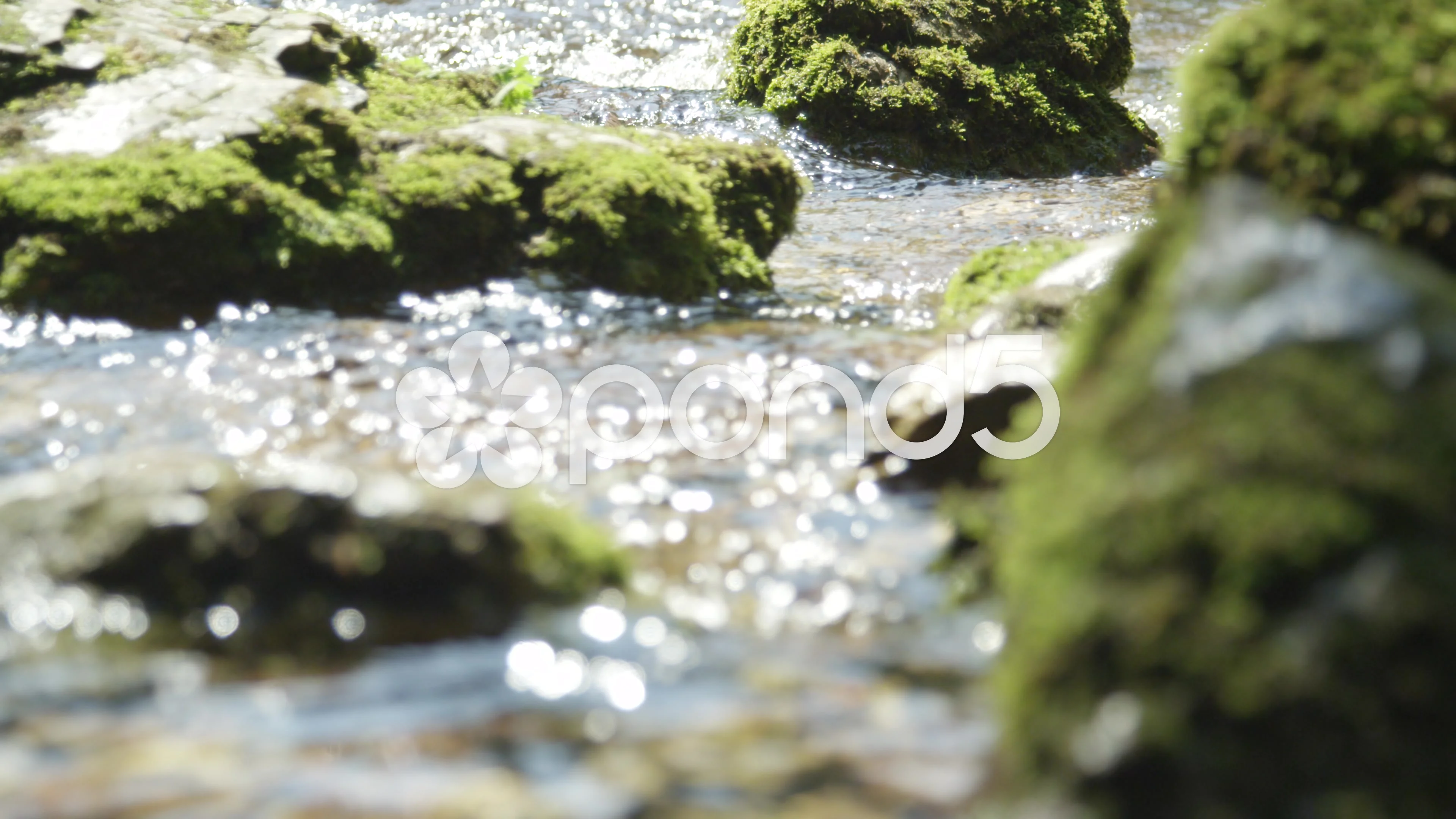 forest river in spring. water flows among the mossy rocks. refreshing  nature background. beautiful scenery on a sunny day Stock Photo