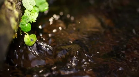 Slow Motion Closeup Of Spring Water Stock Footage 61749580