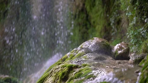 Slow motion closeup of spring water as it falls and dribbles on green moss Stock Footage 238017917