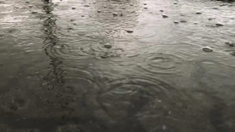 Slow motion closeup of summer heavy rain drops falling Vídeo Stock 276575690