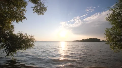 Slow Motion Closeup Sun Shining In Summer Lake Between Trees Video Stock Footage 274160726