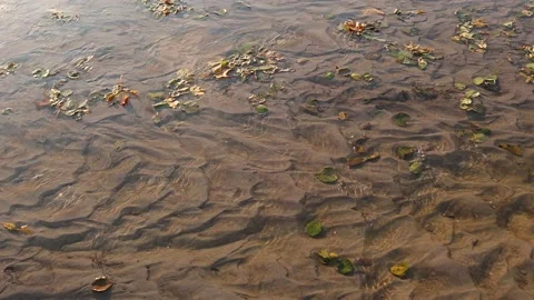 Slow motion closeup of a surface water flowing calmly towards the sea delta Stock-Footage 162272056