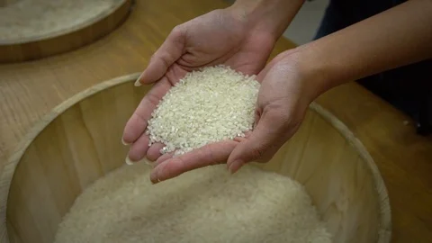 Slow Motion closeup top view two hands holding harvested healthy paddy rice.-Dan Stock Footage 105362407