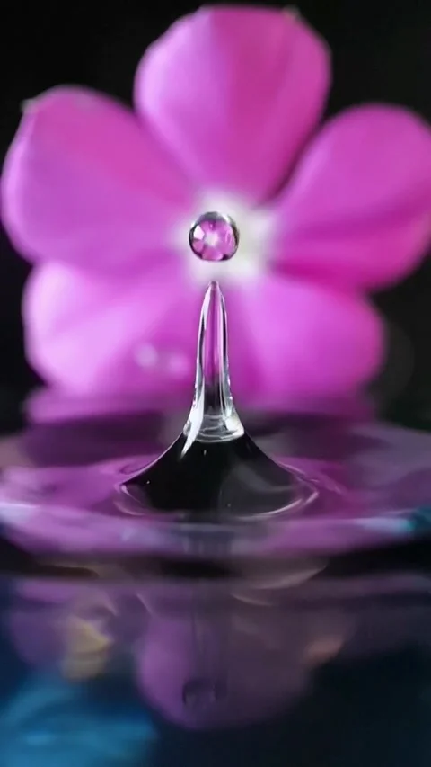 Slow motion closeup of a water drop falling into a lake and causing ripples Stock Footage 229781581