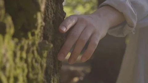 Slow Motion Closeup Of Young Woman's Hand On Tree, She Circles The Tree Stock Footage 76585670