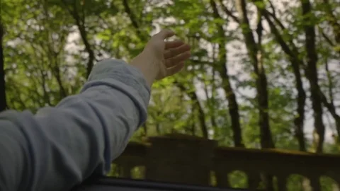 Slow Motion Closeup Of Young Woman's Arm Feeling Breeze Out Car Window Stock Footage 78120014