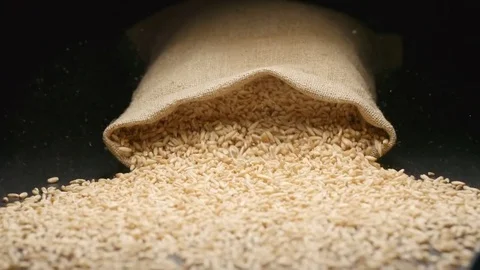 SLOW MOTION: Cloth bag falls and oats fall out of him Stock Footage 72553739