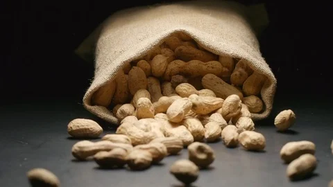 SLOW MOTION: Cloth bag falls and unpeeled peanuts fall out of him Stock Footage 72553743