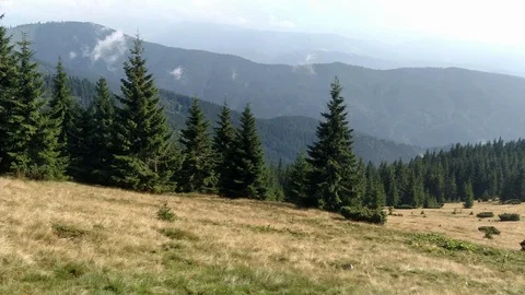 Slow motion of clouds Spruce mountains and sky Environment in sunny day ature in Stock Footage 116718641