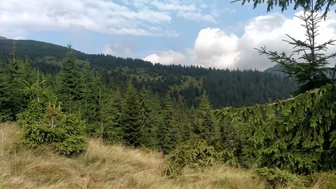 Slow motion of clouds Spruce mountains and sky Environment in sunny day ature in Stock Footage 116718712