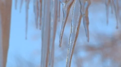 Slow Motion: A cluster of icicles drop water droplets under a clear blue sky. Stock Footage 47726361