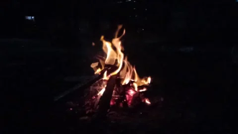 Slow motion of coals of fire (fireplace) Stock Footage 244253322
