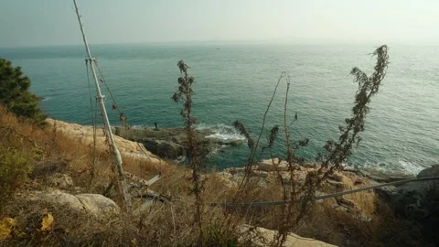 Slow Motion Coastal Scene with Dried Grass and Rocky Shore at Xiaomai Island Stock Footage 342451450