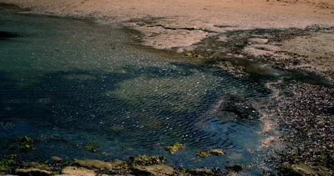 Slow Motion Coastal Waves Background. Body Care Healthy Natural Stockbeeldmateriaal 286818659