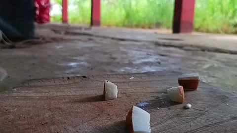 Slow motion of coconut pieces Stock Footage 241245428