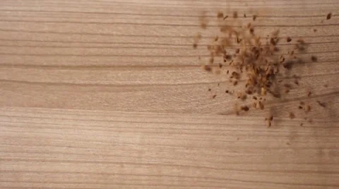 Slow motion Coffee Bean Stock Footage 40250210