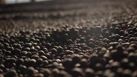 Slow motion of coffee beans being stirred in a specialty coffee yard Stock Footage 258600586