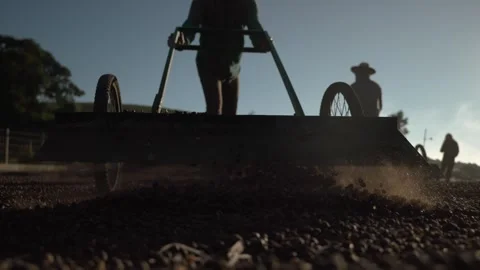 Slow motion of coffee beans being stirred in a specialty coffee yard Stock Footage 258600619