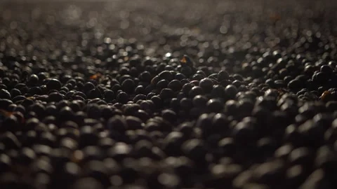 Slow motion of coffee beans being stirred in a specialty coffee yard Stock Footage 258600705
